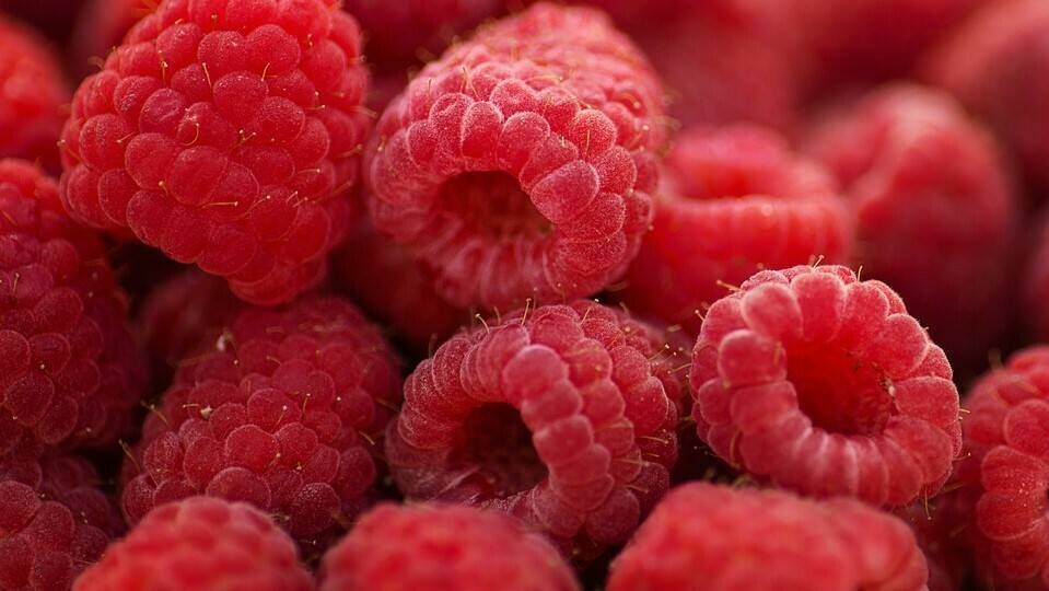 raspberries-2665618_960_720|strawberries-823782_960_720